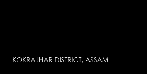 violence Kokrajhar district, Assam, communal, Muslim MPs, tribal Bodos, Hindu groups, Muslim immigrants