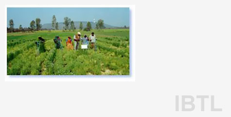 Although agriculture is the major occupation of India, over 3/4th of the agricultural land holdings are uneconomic and unviable. The progress in agricultural technology has not been utilized by these marginal farmers. Regarding seeds, farmers still depend upon seed companies. Most of the farming is rain-fed.