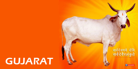 Gujarat, jail, cow slaughter, The Gujarat Animal Preservation, cow meat