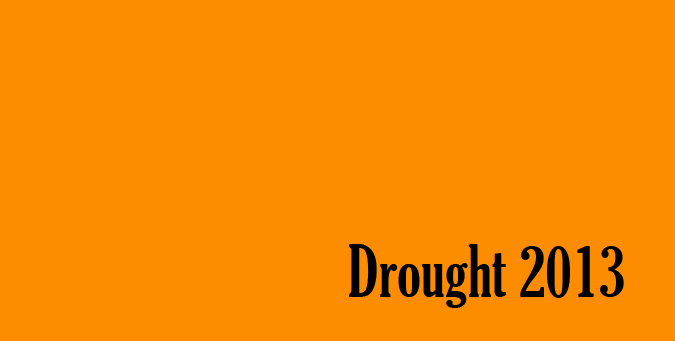 30 million people, maharashtrian, marathi manus, Maharashtra Drought 2013